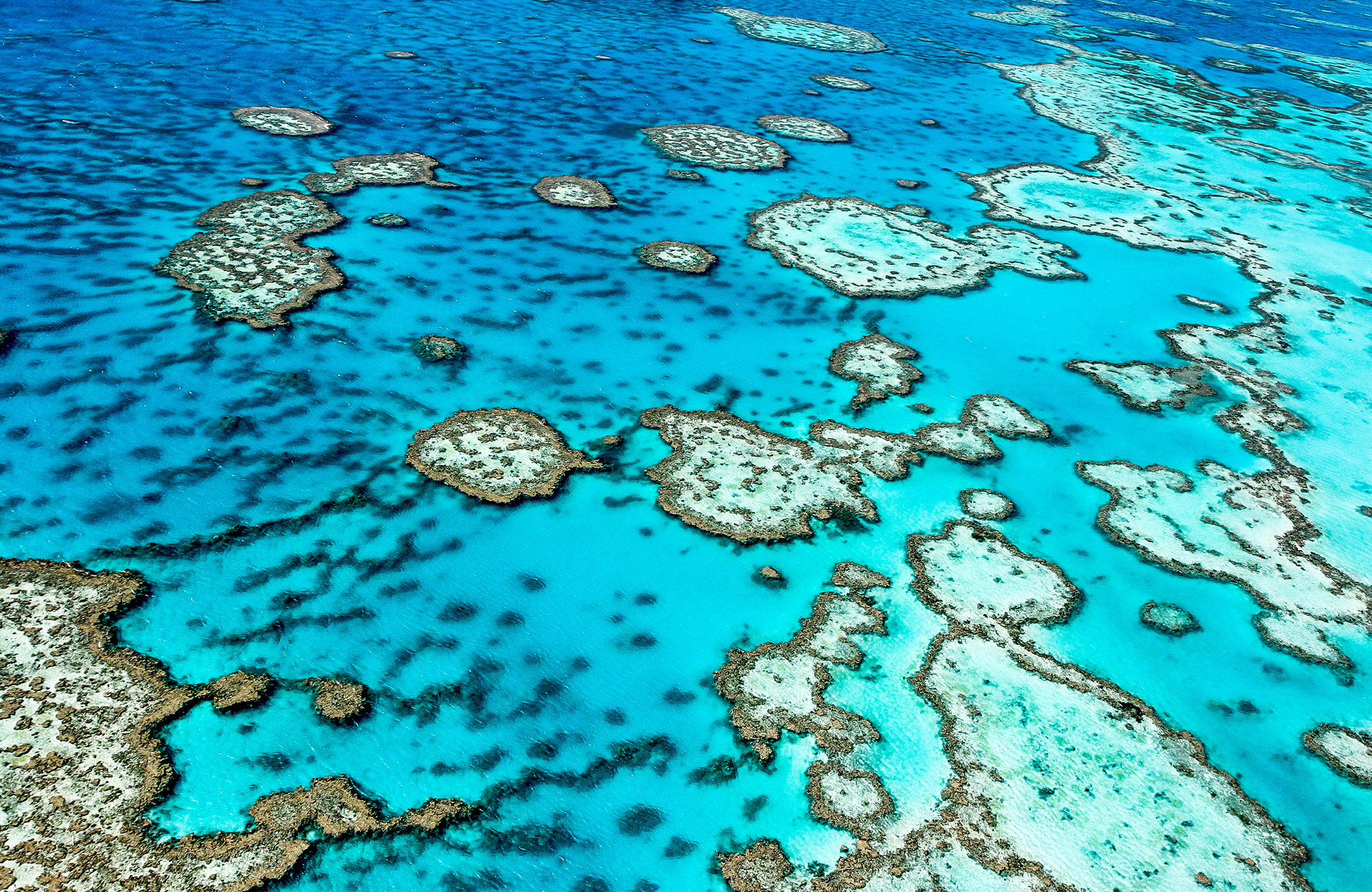 great-barrier-reef-queensland-australia-cover