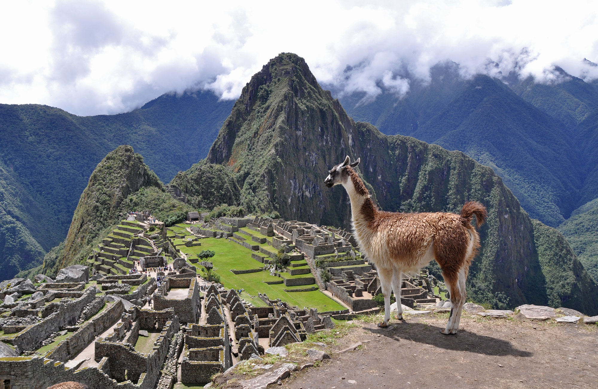 Machu Picchu
