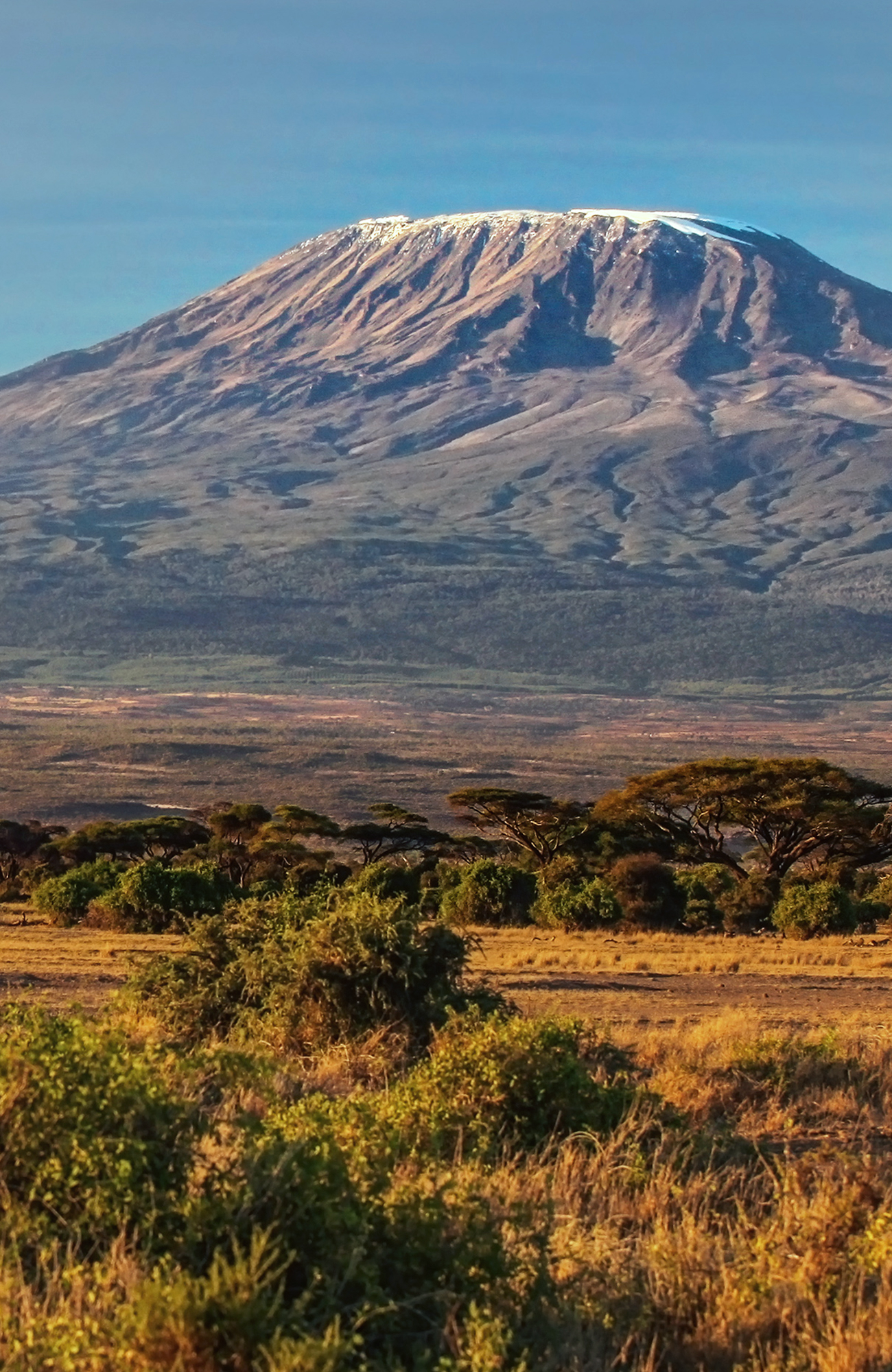 kilimanjaro-tanzania-mountain-savannah-sidebar