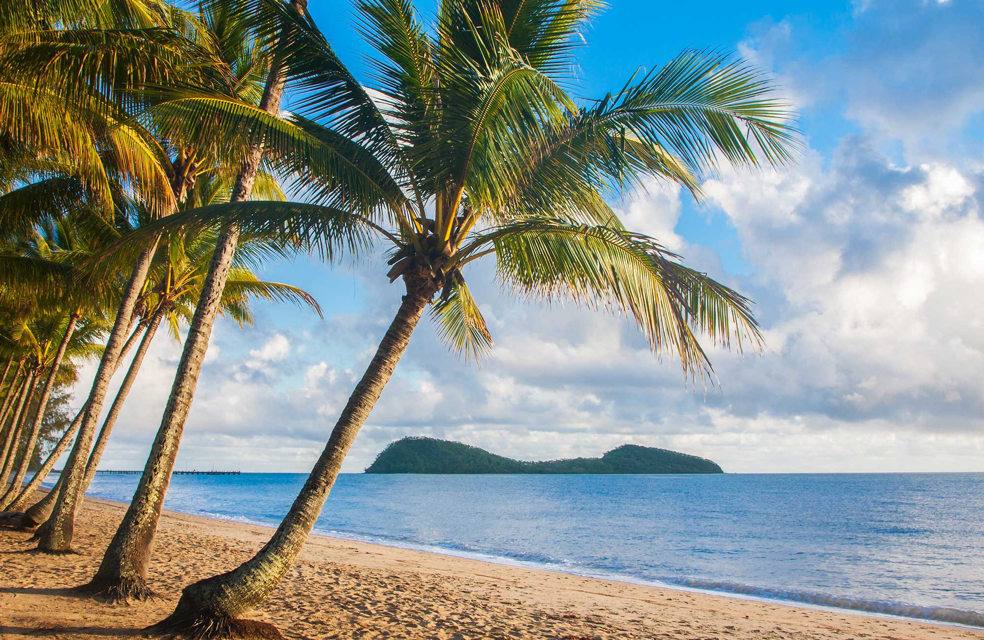 cairns-australia-palmtrees-cover