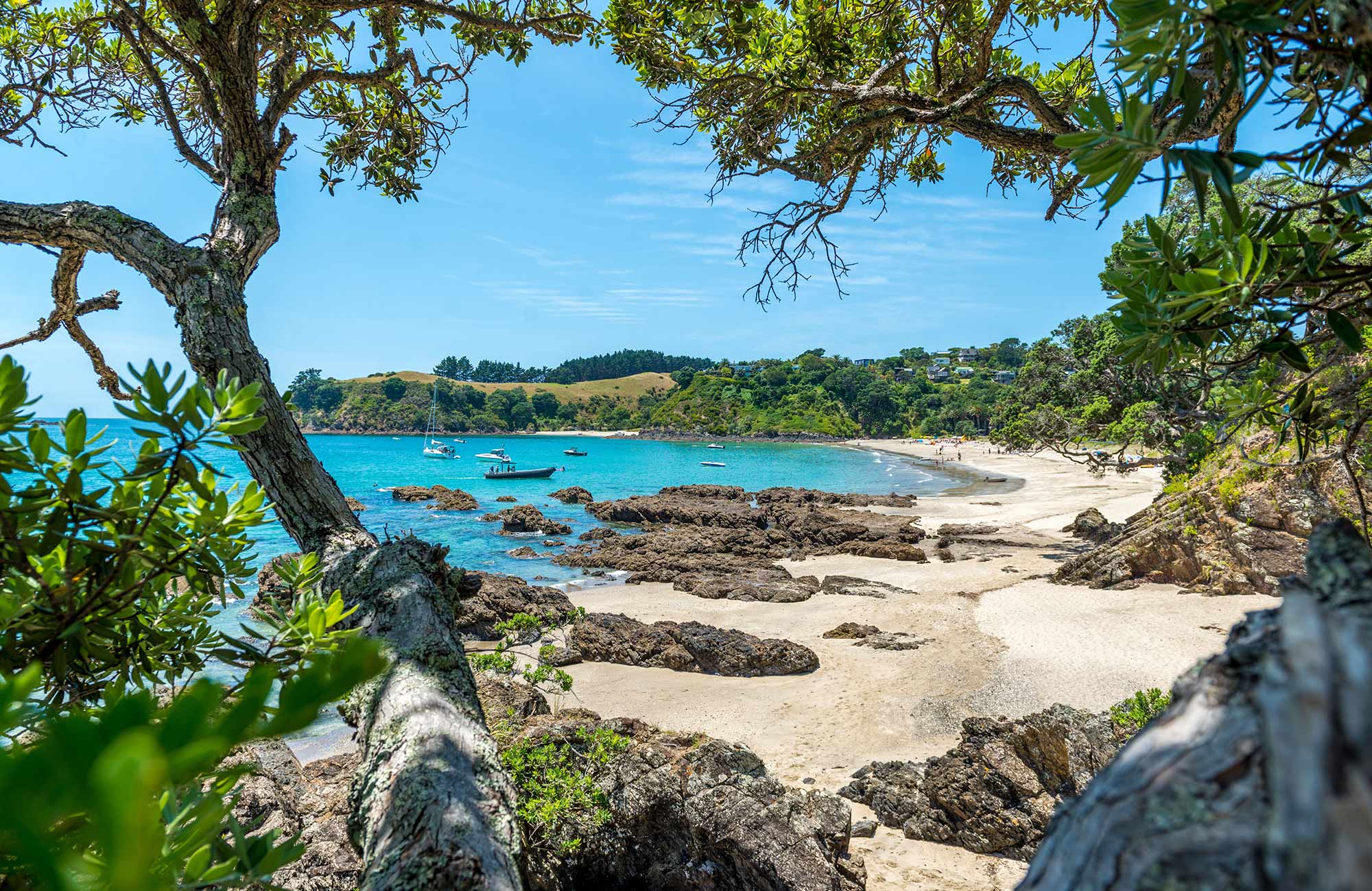 northern-island-new-zealand-waiheke-cover