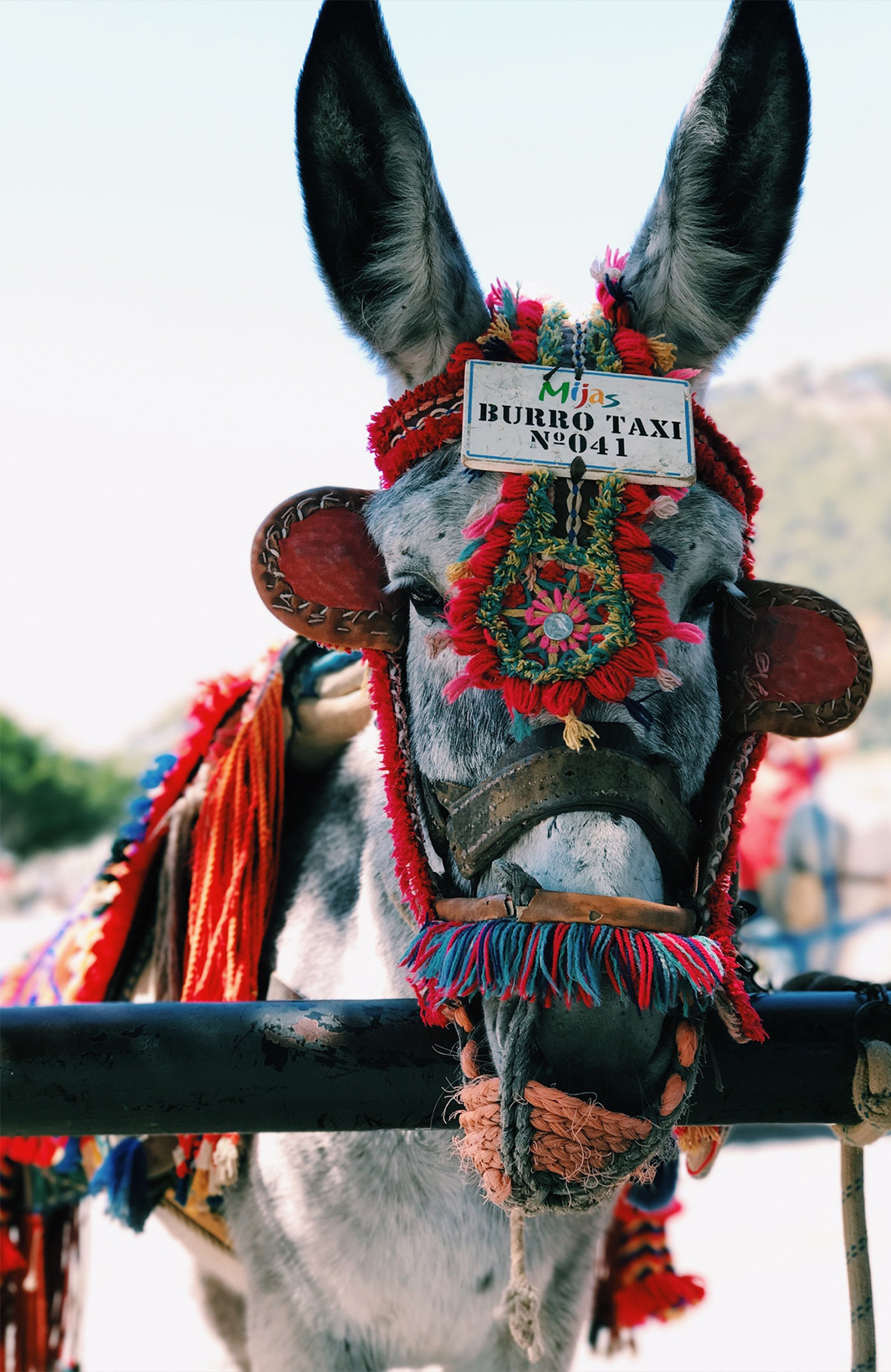 Ferðir til Spána | KILROY