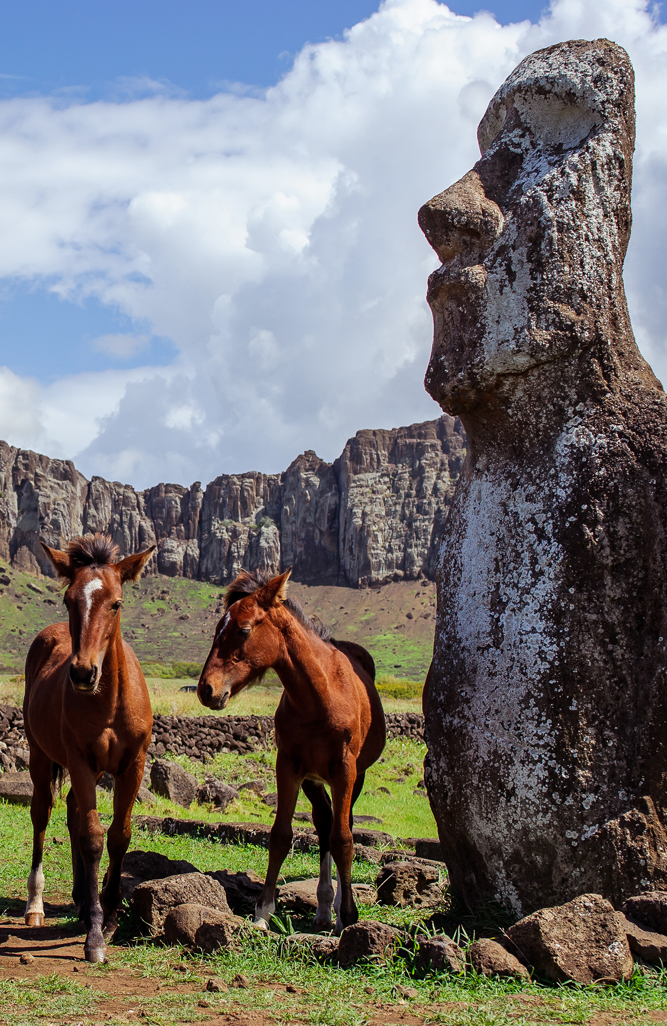 easter-island-horses-statue-chile-sidebar