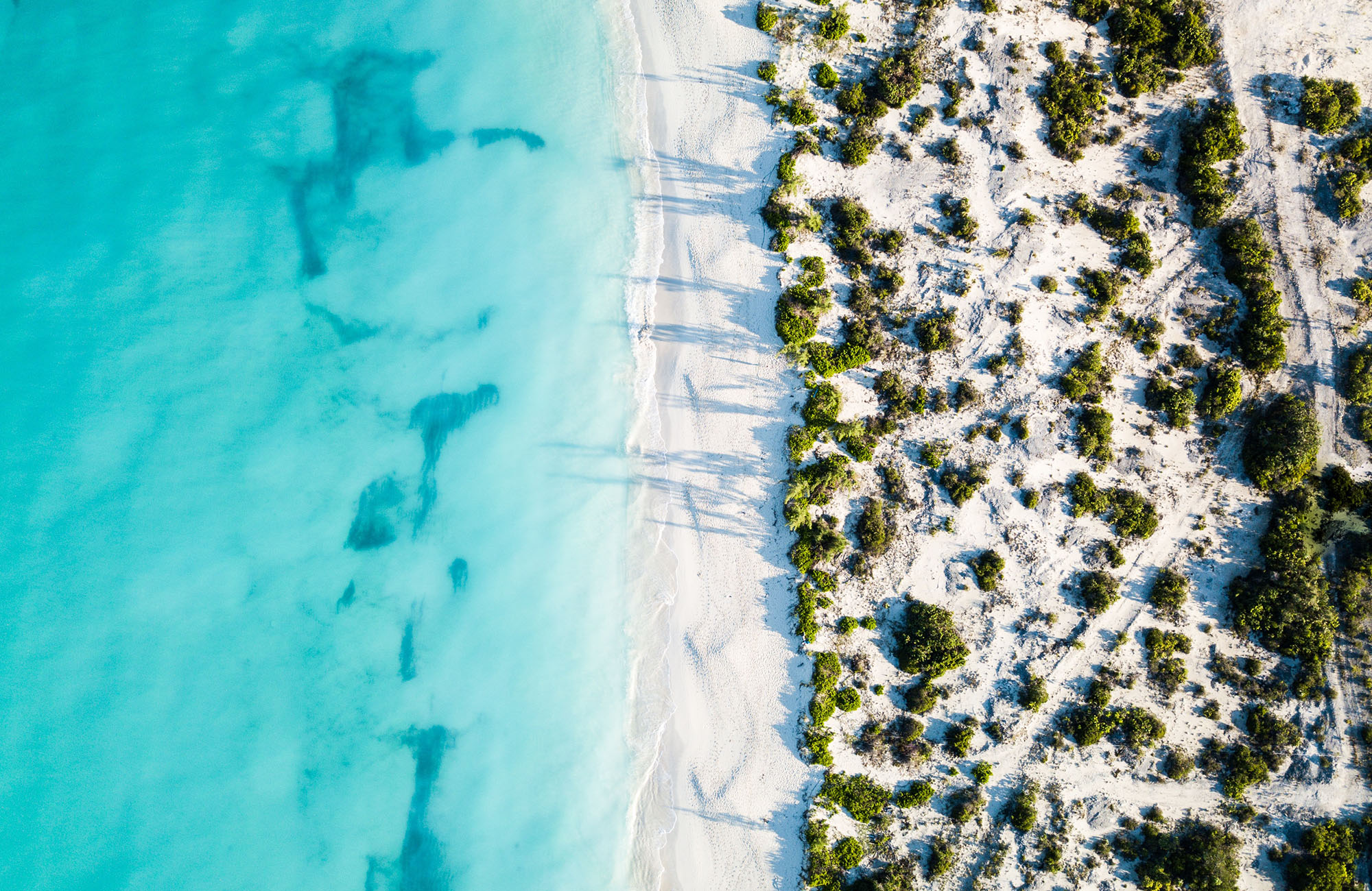 barbados-turqouise-water-aerial-beach-cover