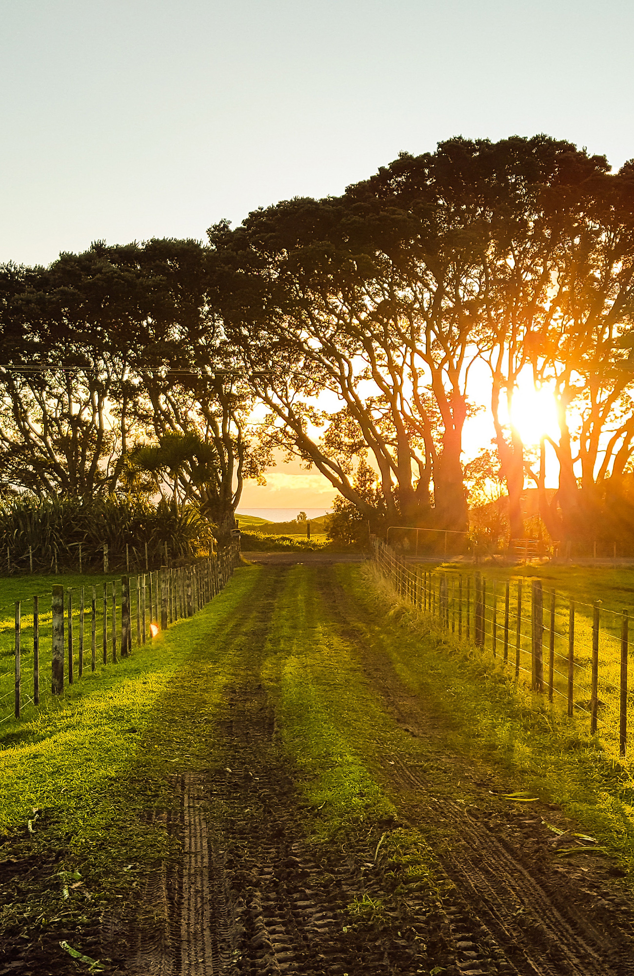 new-zealand-country-sidebar