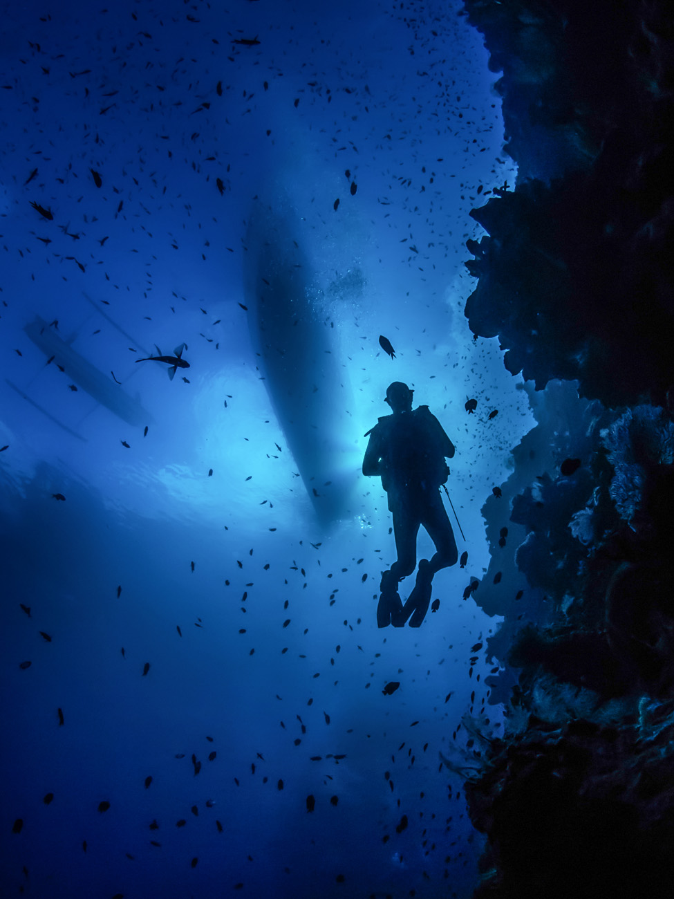 diving-general- (48)