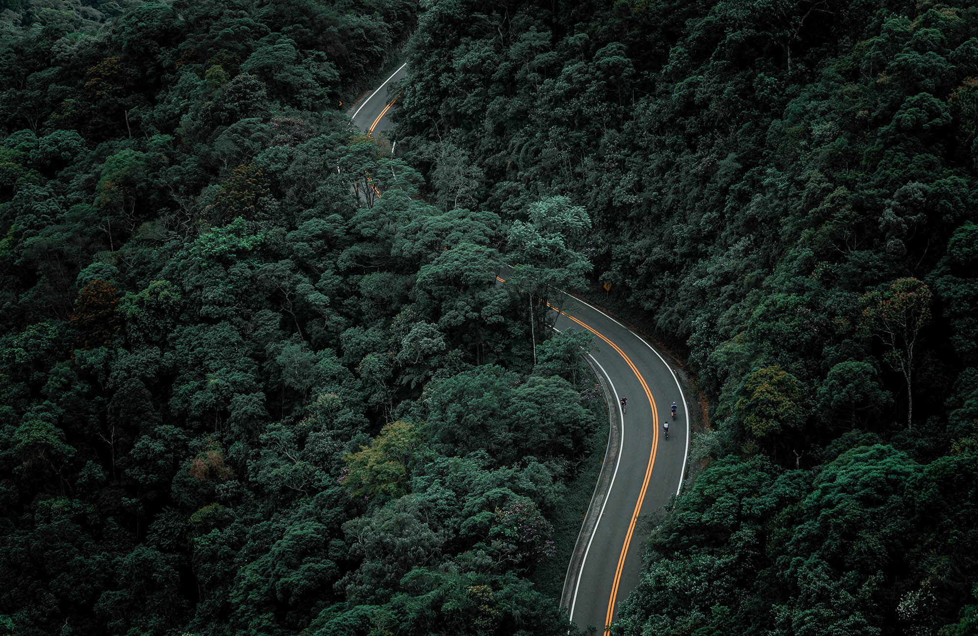 brazil-pico-do-jaragua-road-cover