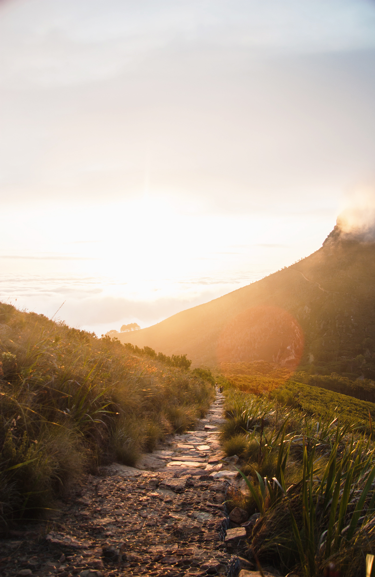 cape-town-south-africa-kloof-corner