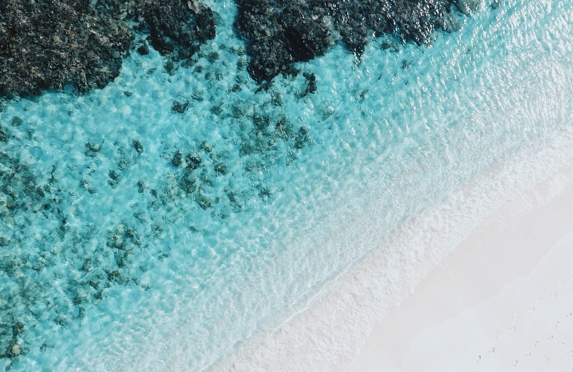 beach-ocean-overview-cover