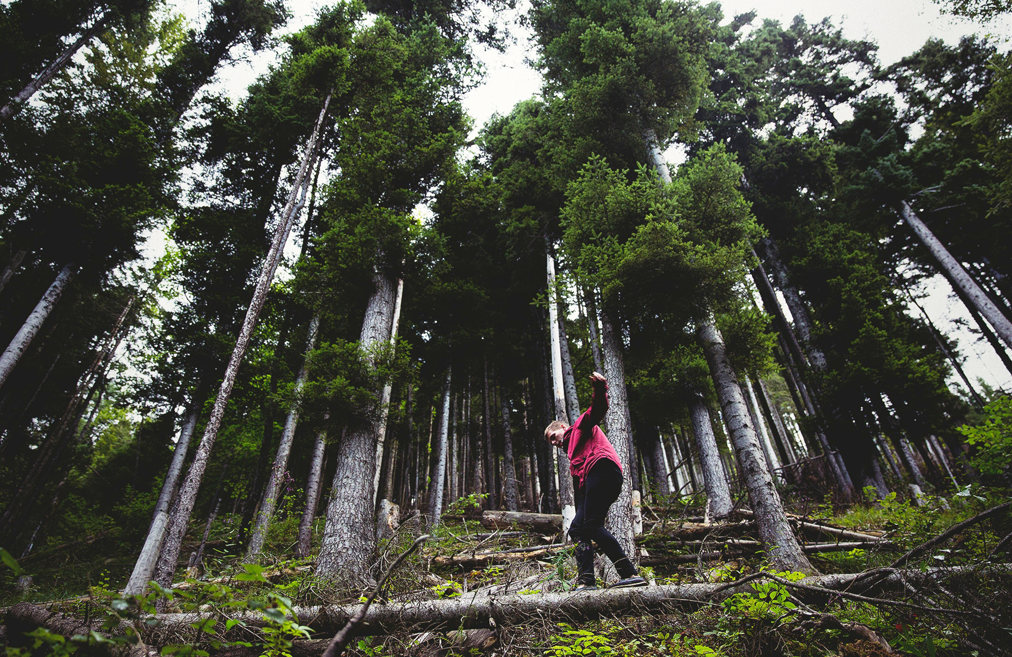 nature-man-walking-in-woods-cover
