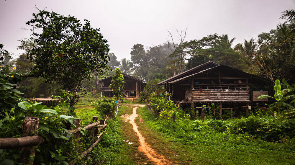 umphang-jungle-trekking-local-house