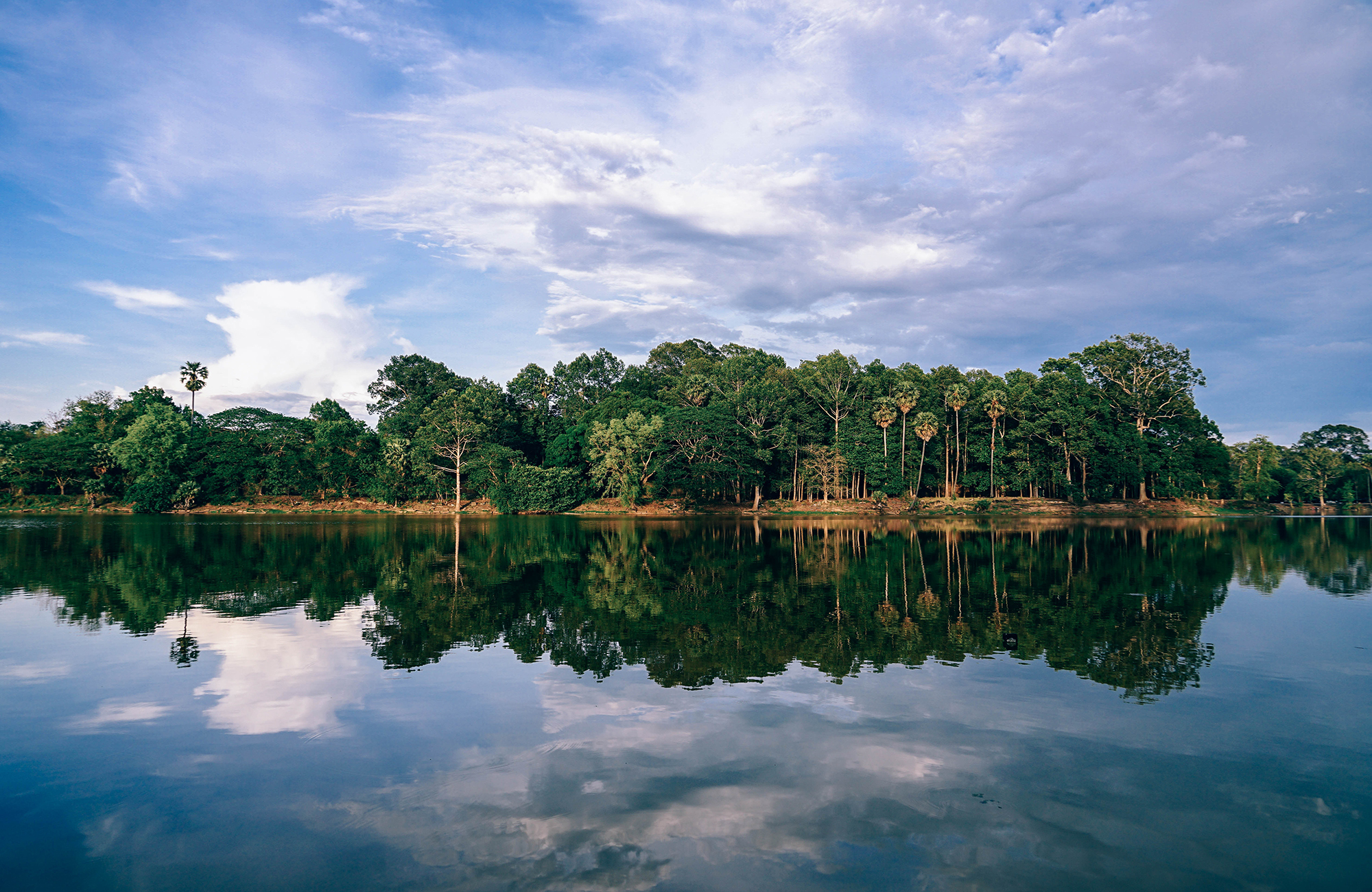 Skógur í Siem Reap í Kambódíu í febrúar