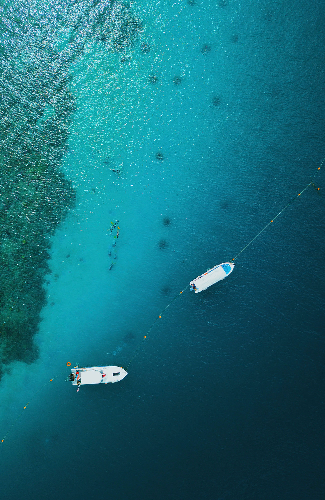 borneo-malaysia-drone-shot