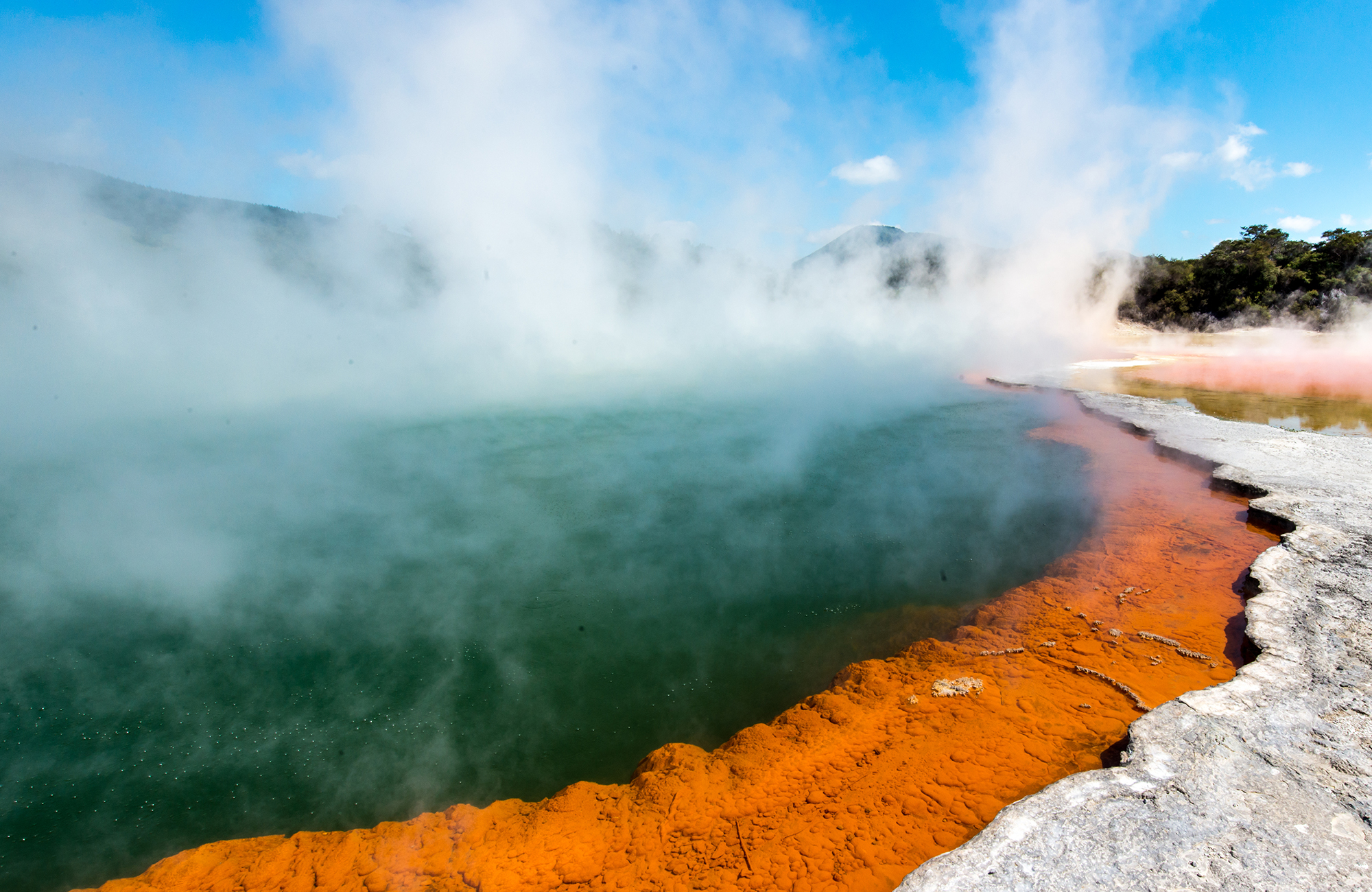 new-zealand-rotorua-steam-cover
