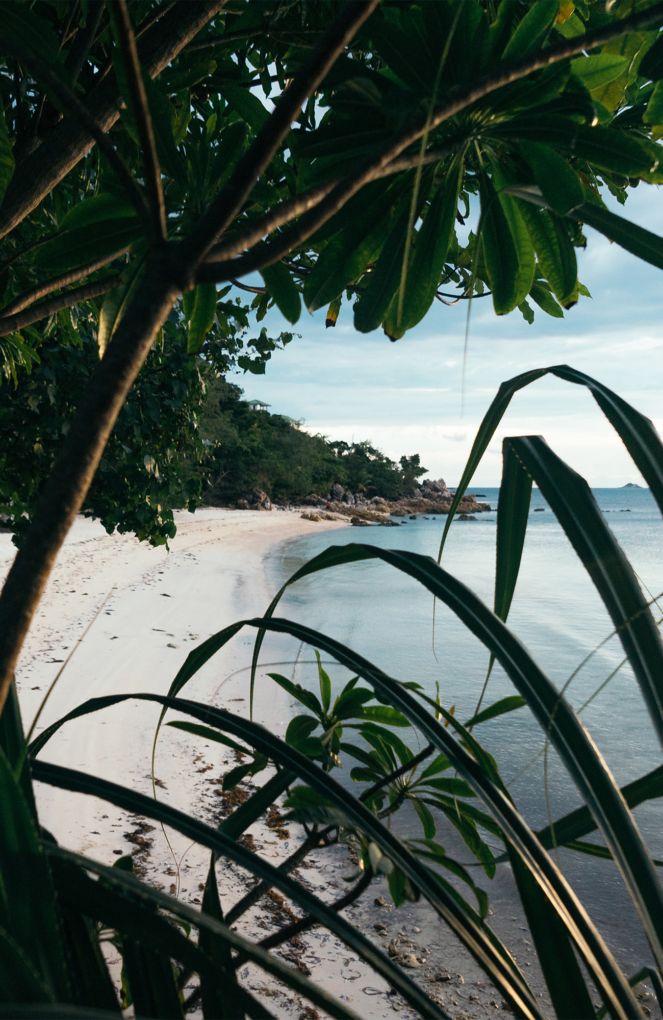 koh-phangan-thailand-beach-lush-jungle-sidebar
