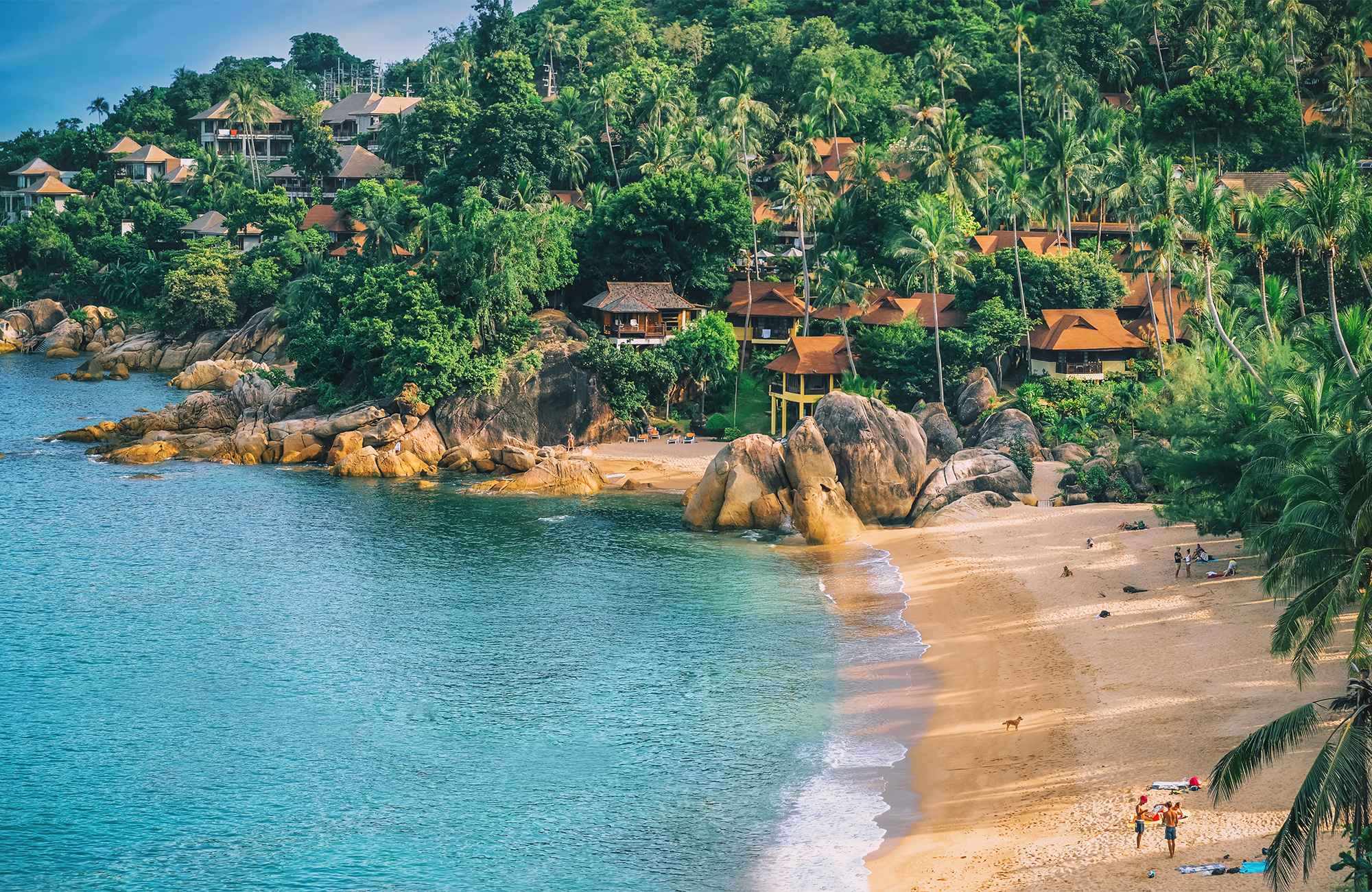koh-samui-thailand-beach-resort-palm-trees-cover