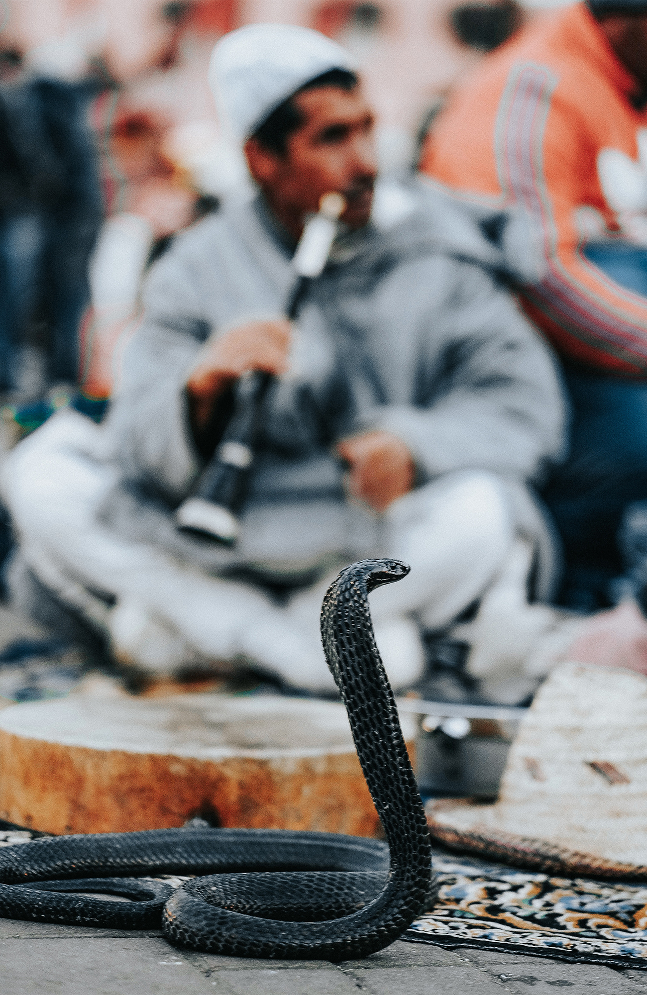 marrakesh-morocco-snake-flute-man-sidebar