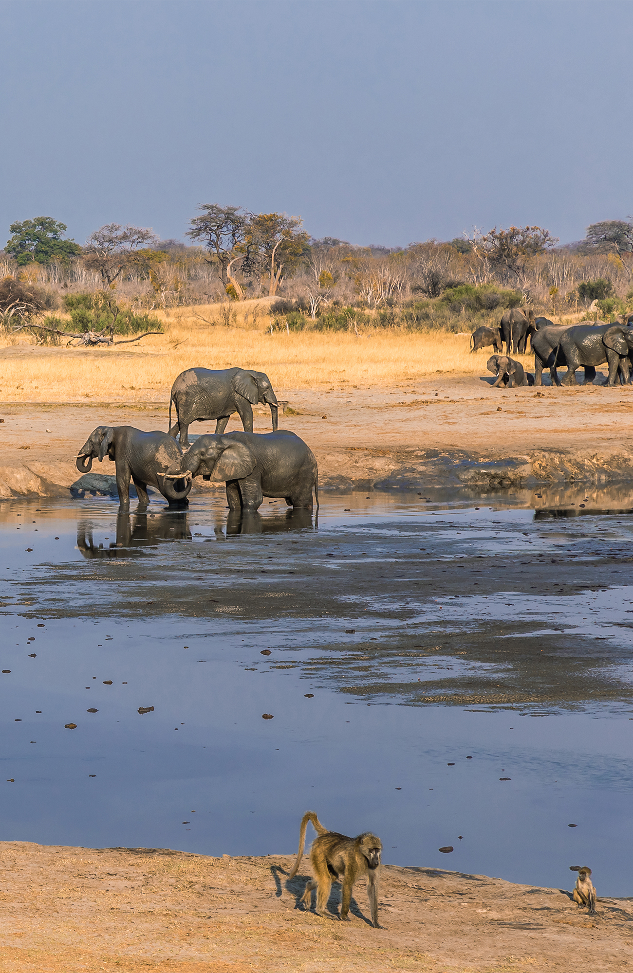 zimbabwe-hwange-national-park-lake-elephants-baboons-sidebar