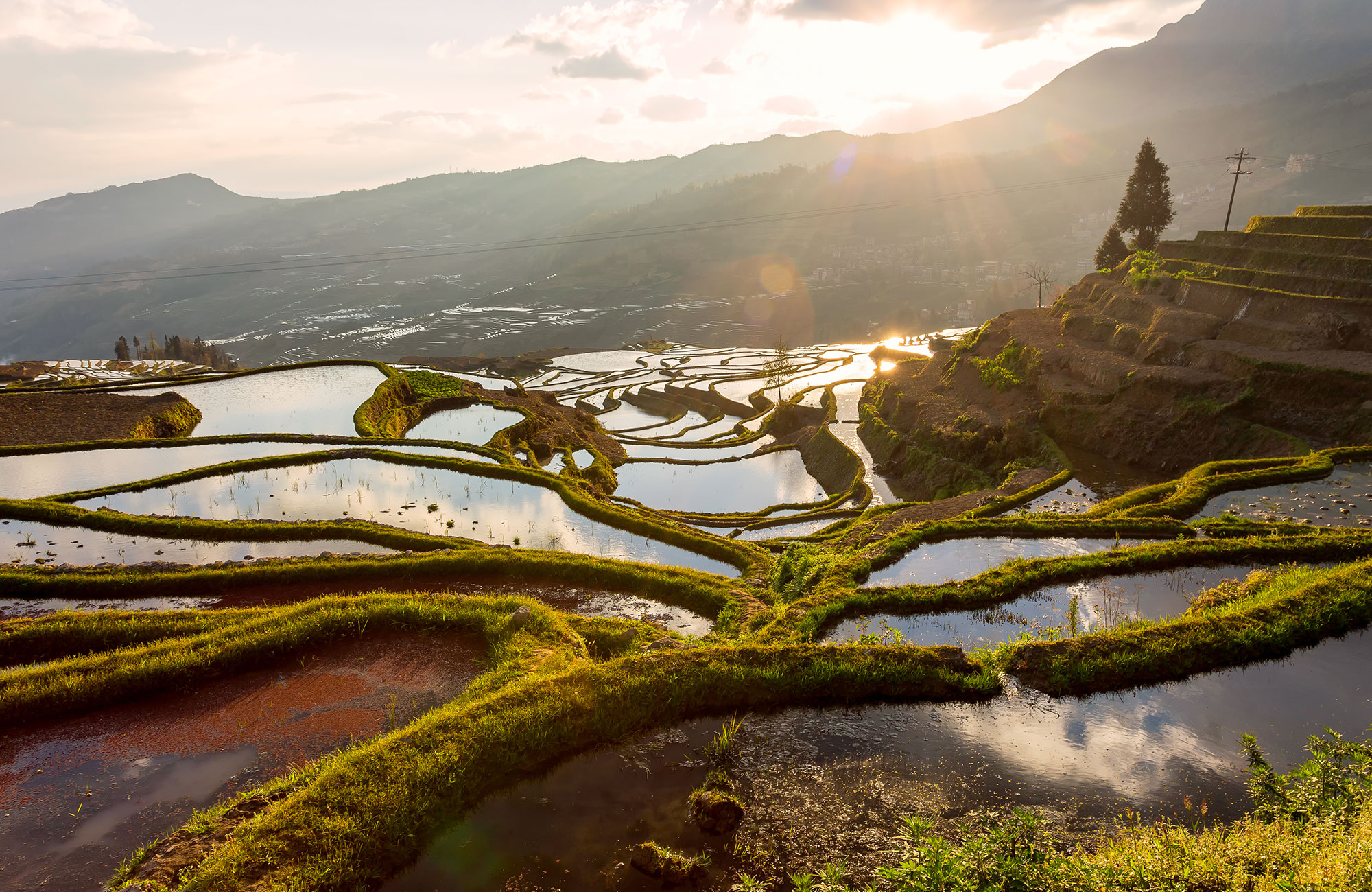 china-yuan-yang-terraced-rice-field-duo-yi-shu-village