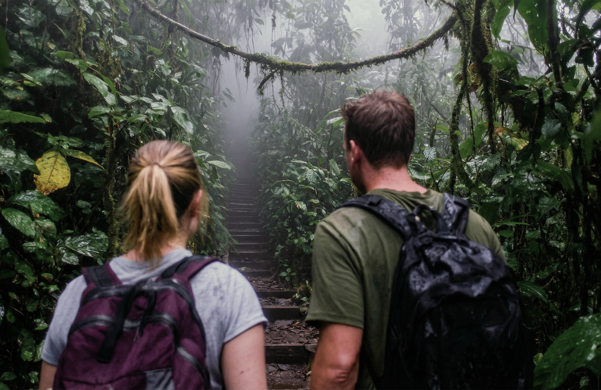 Skilti í skóginum sem á stendur "happily ever after"