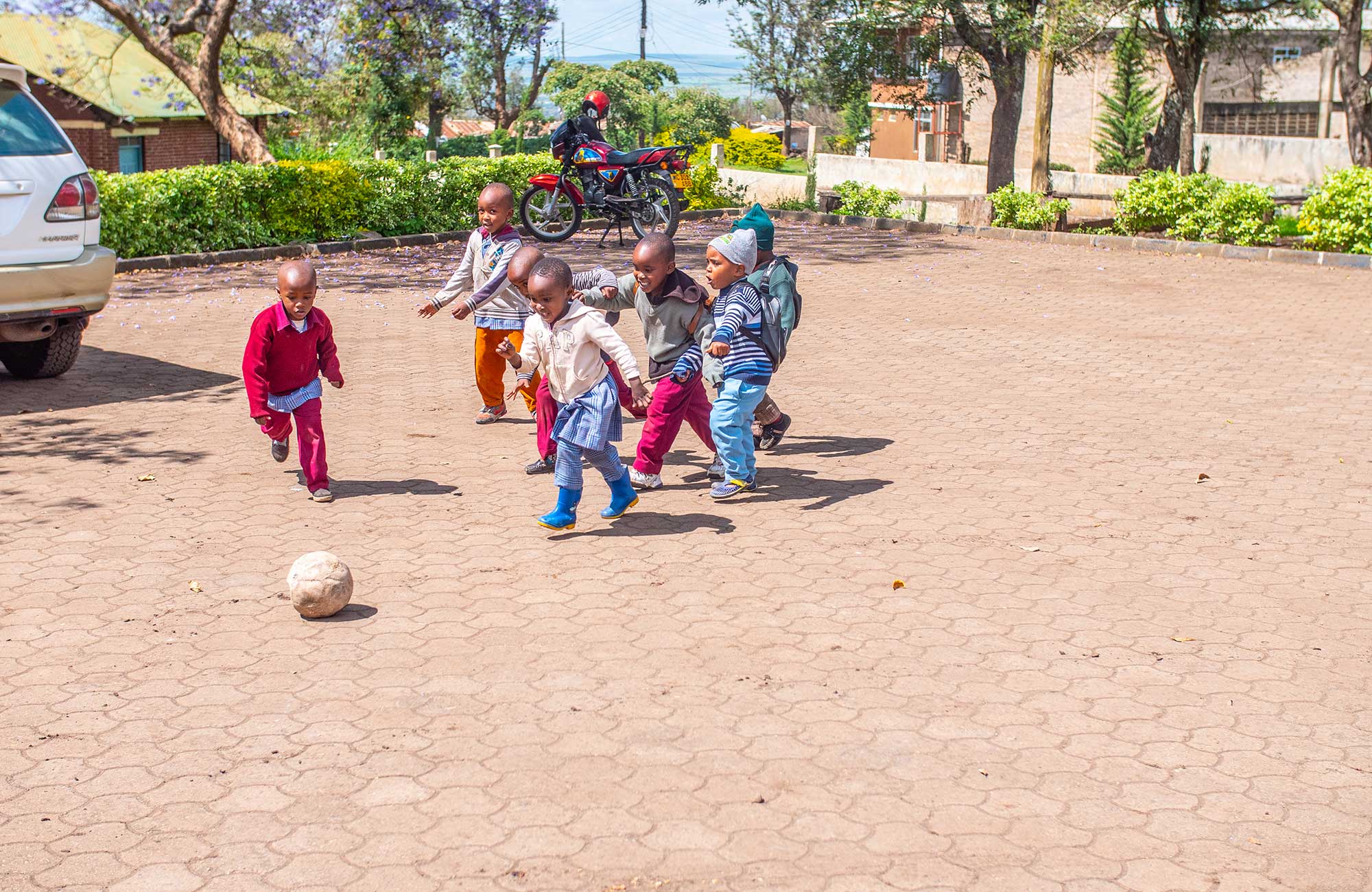 Green Lion Zanzibar Children Playing Football