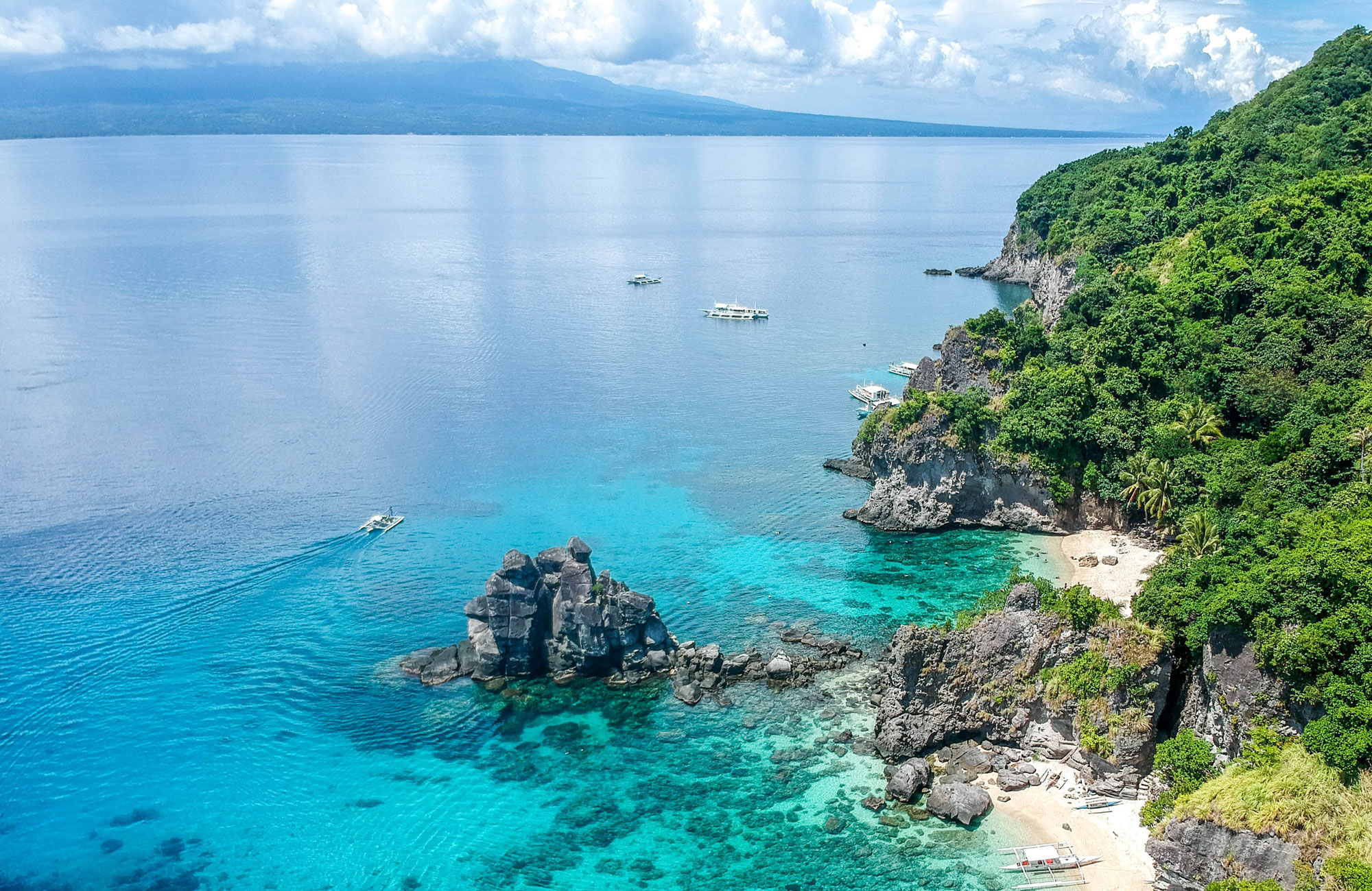 Dauin á Filippseyjum í mars