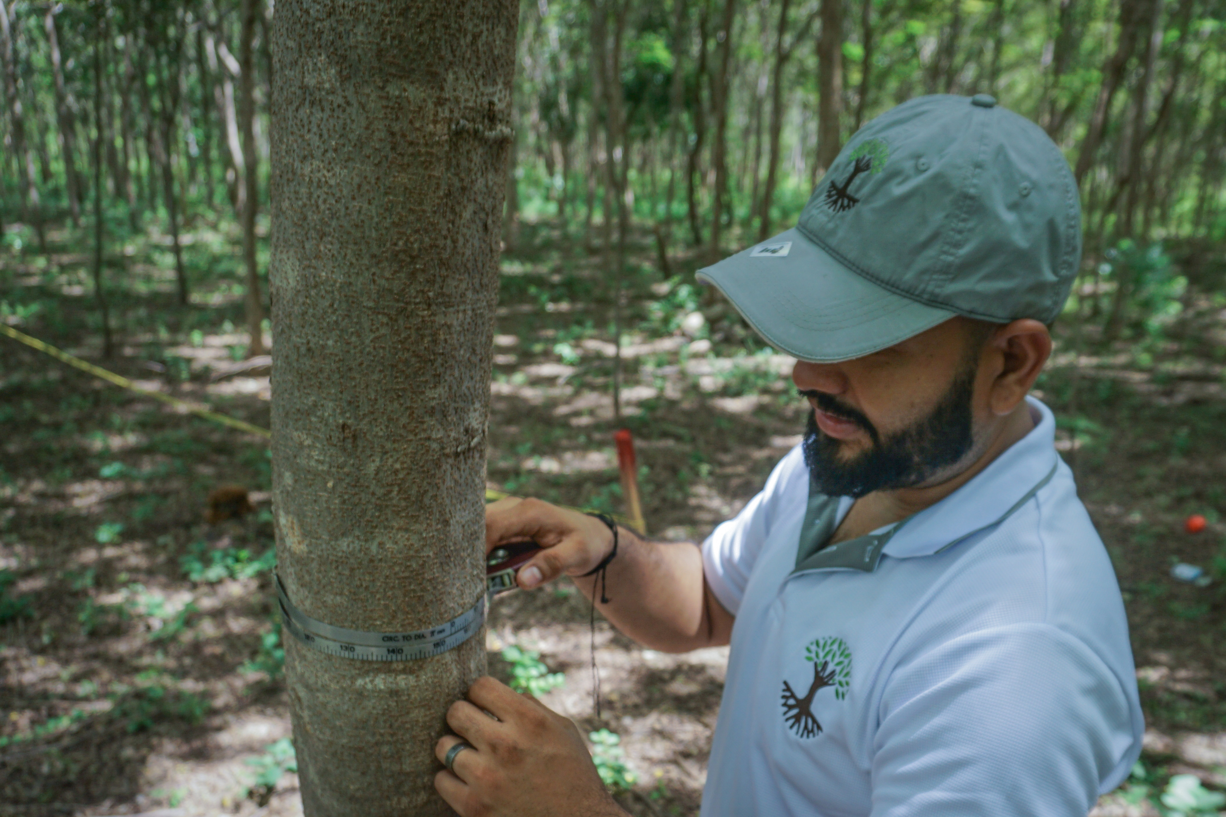 MyClimate worker checking the growth and health of the trees
