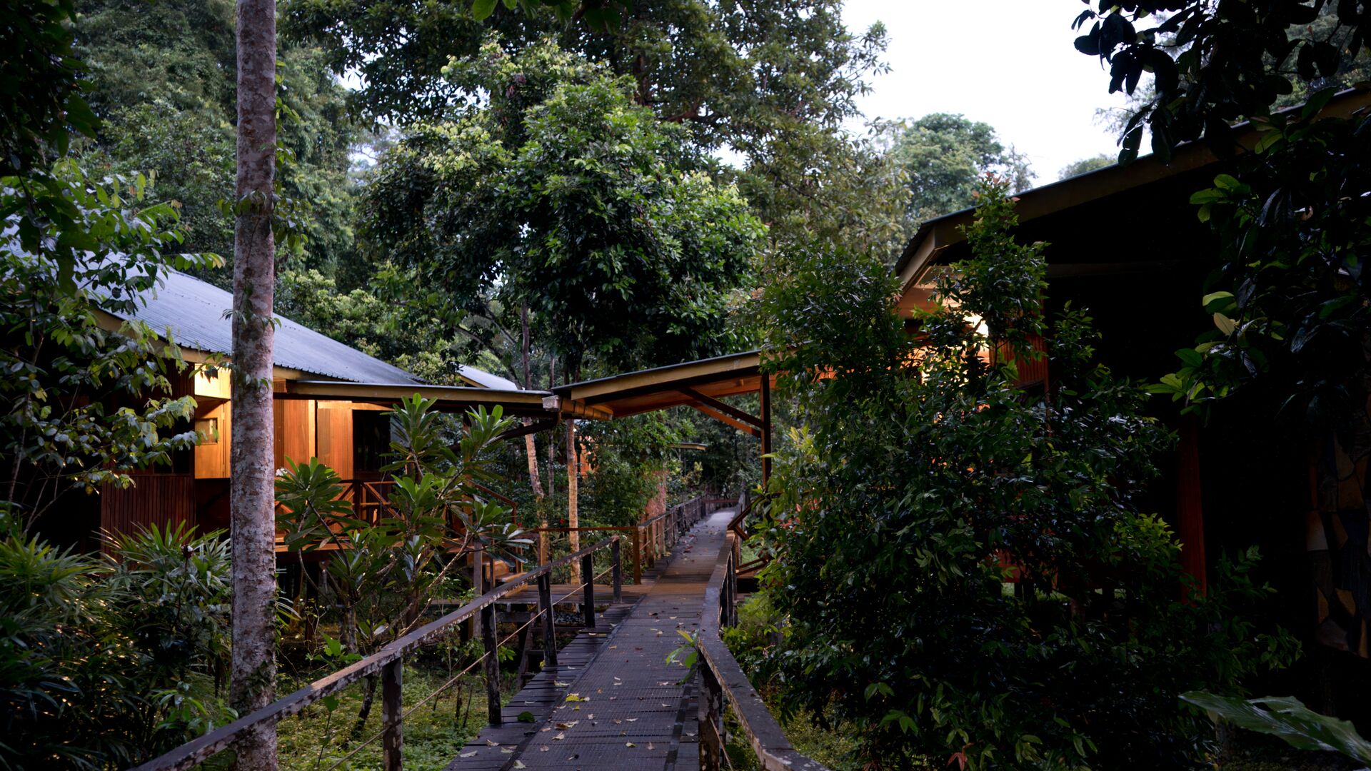 Large Images SYD02248