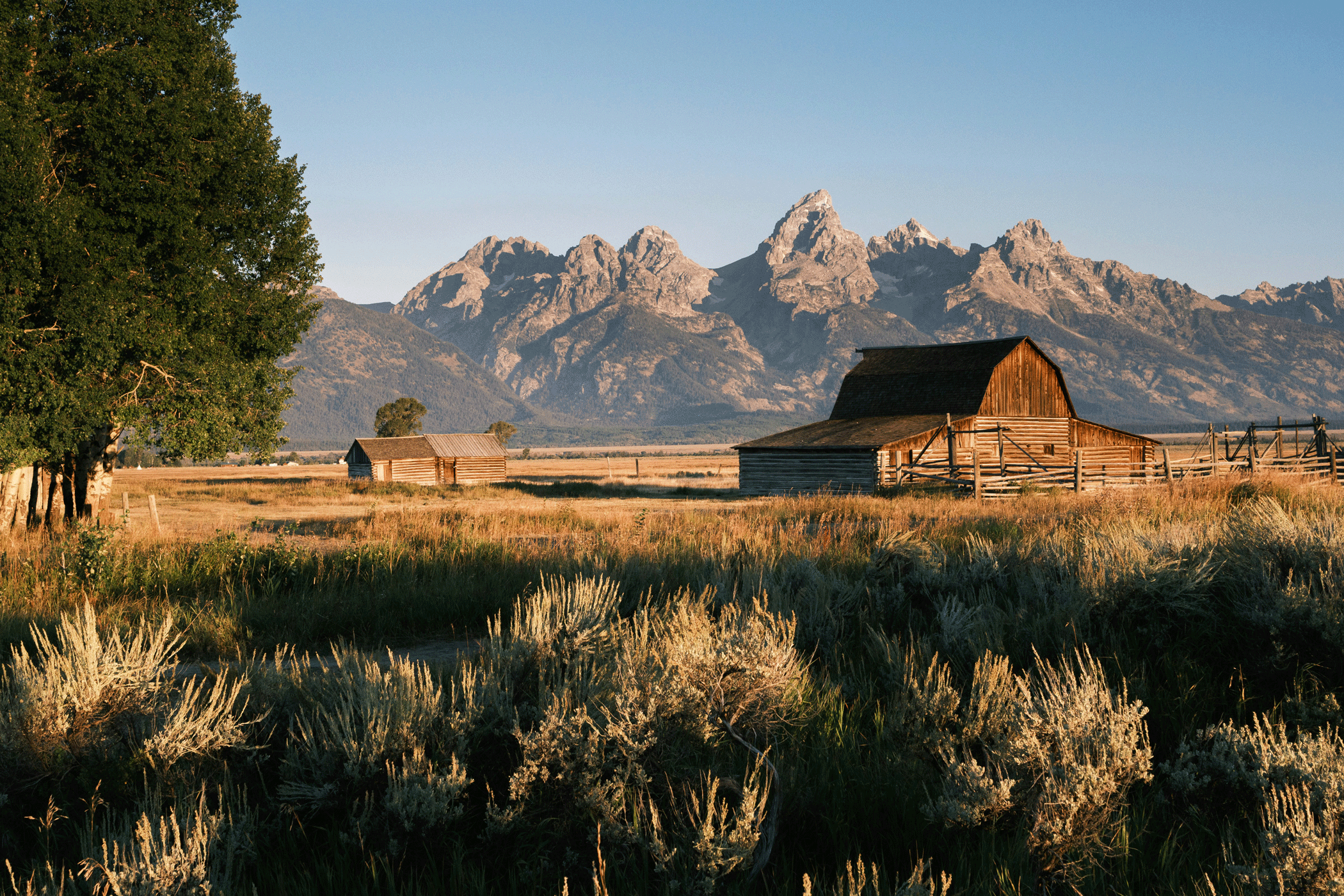 Wooden sheds of a farm in dry grassland, with the peaks of the Grand Teton National Park in the background
