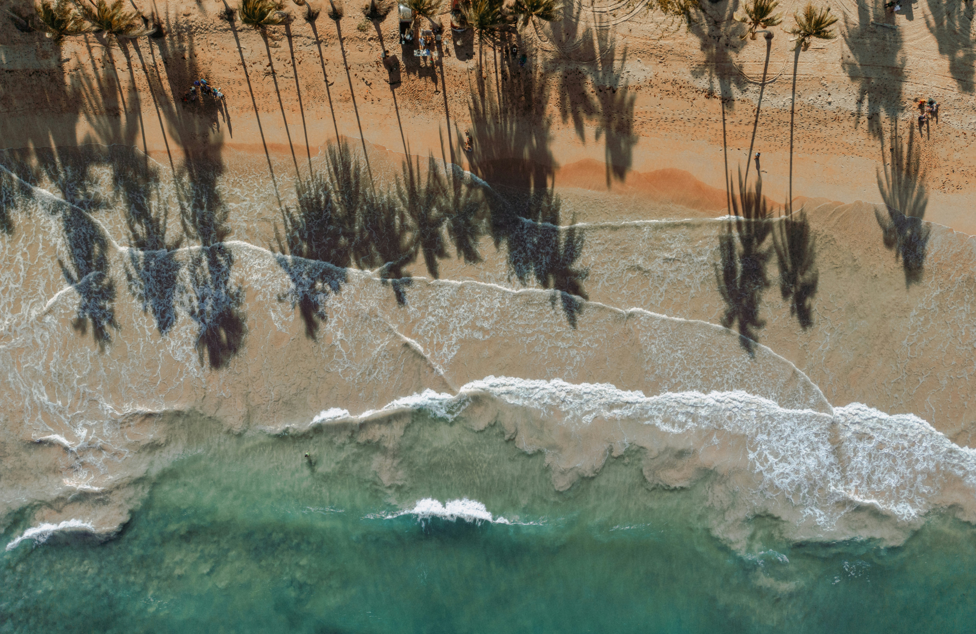 hvít strönd og sjór með skugga af pálmatrjám