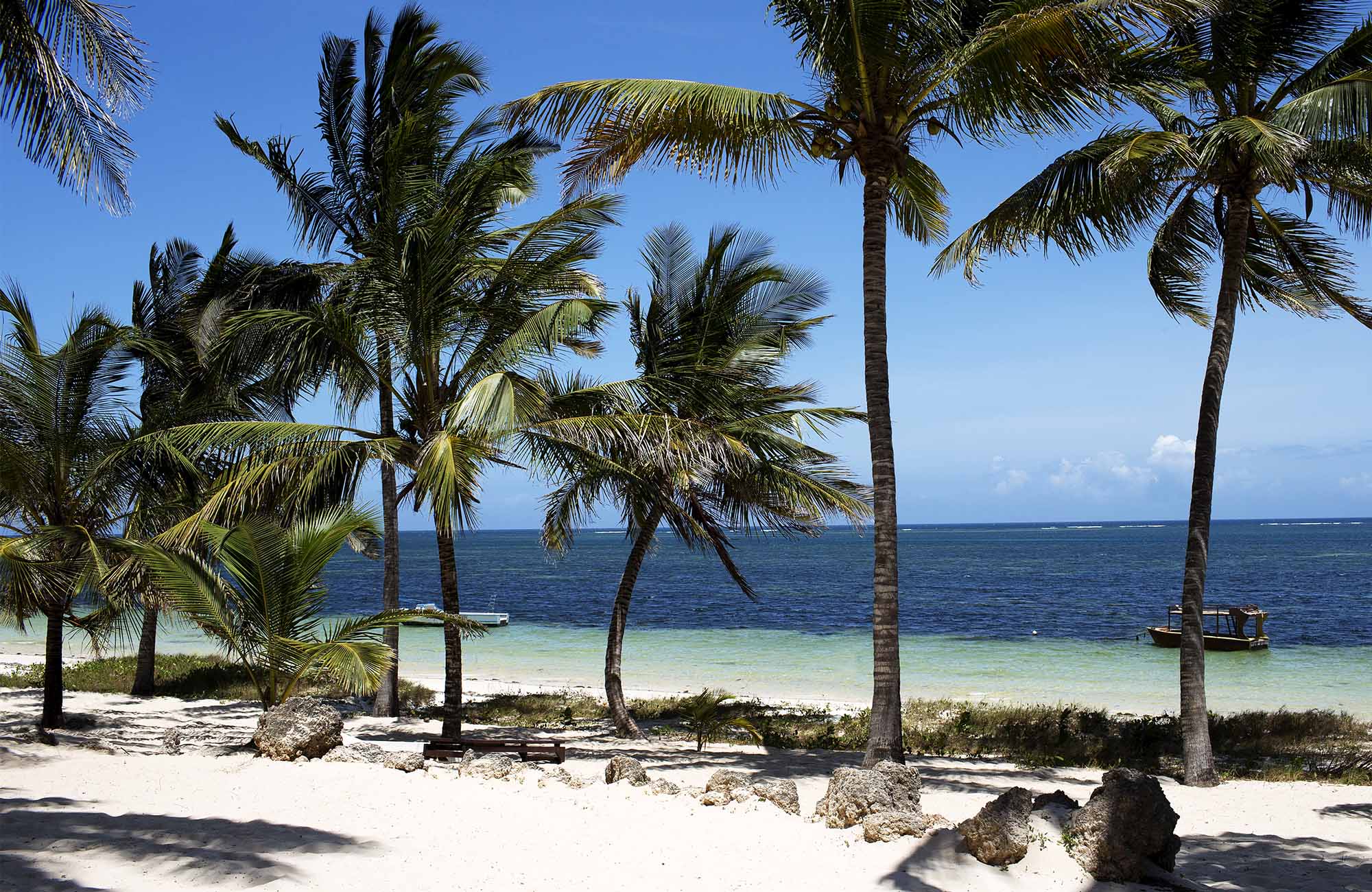Maður í safarí og sólarströnd heimsreisunni að horfa á fjall í Suður-Afríku