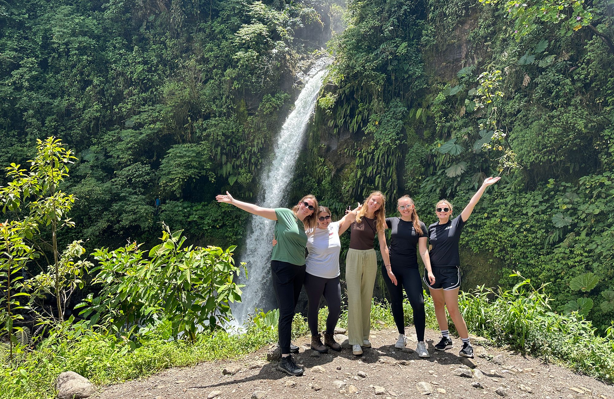 Baby and mother orangutan holding on to a tree branch