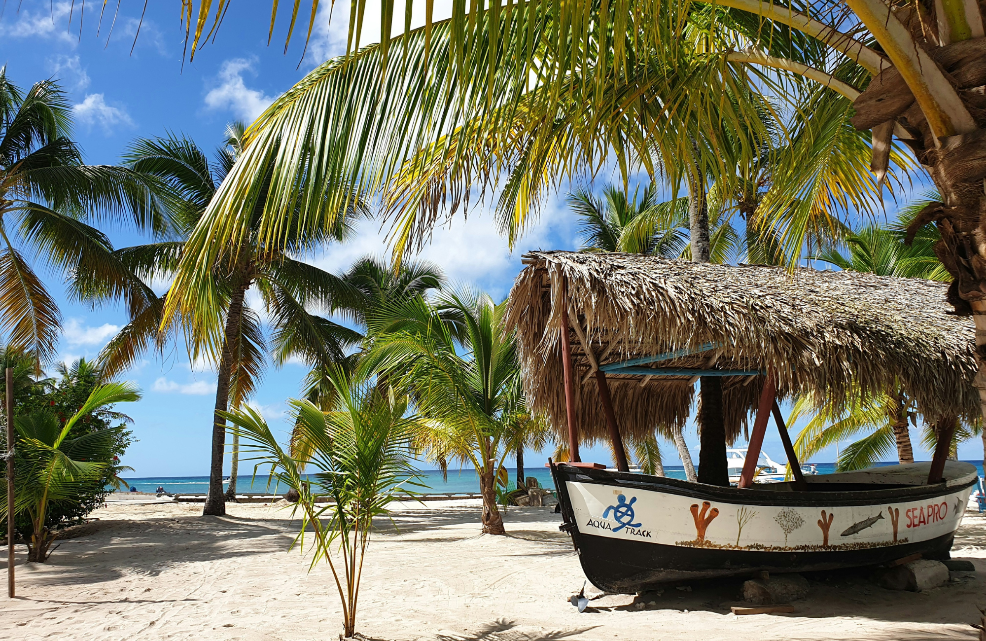 Dominican Republic Saona Island