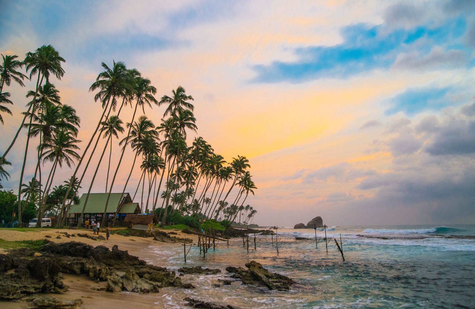 Srilanka Ahangama Palm Trees And Beach