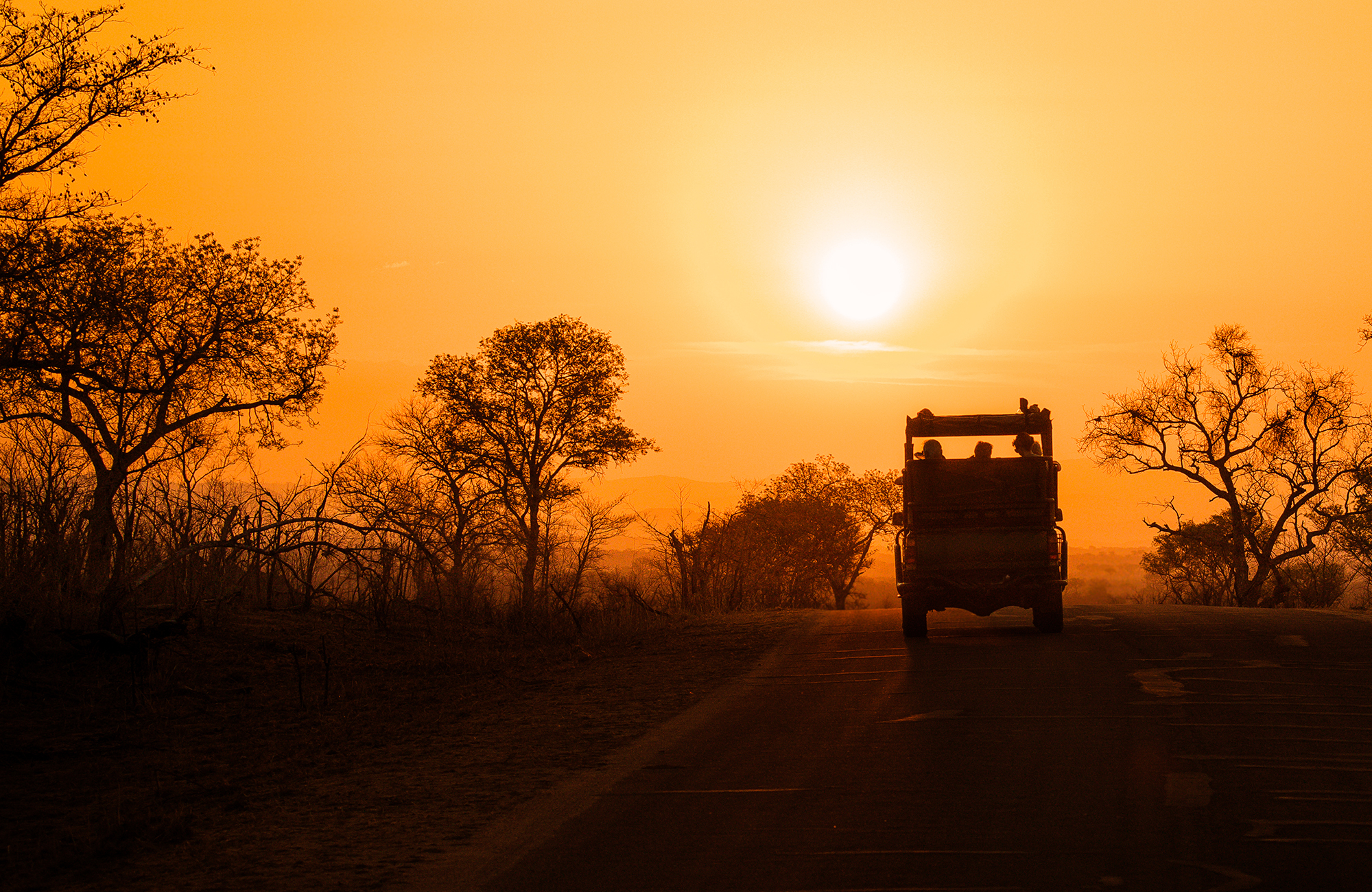 Kruger National Park South Africa