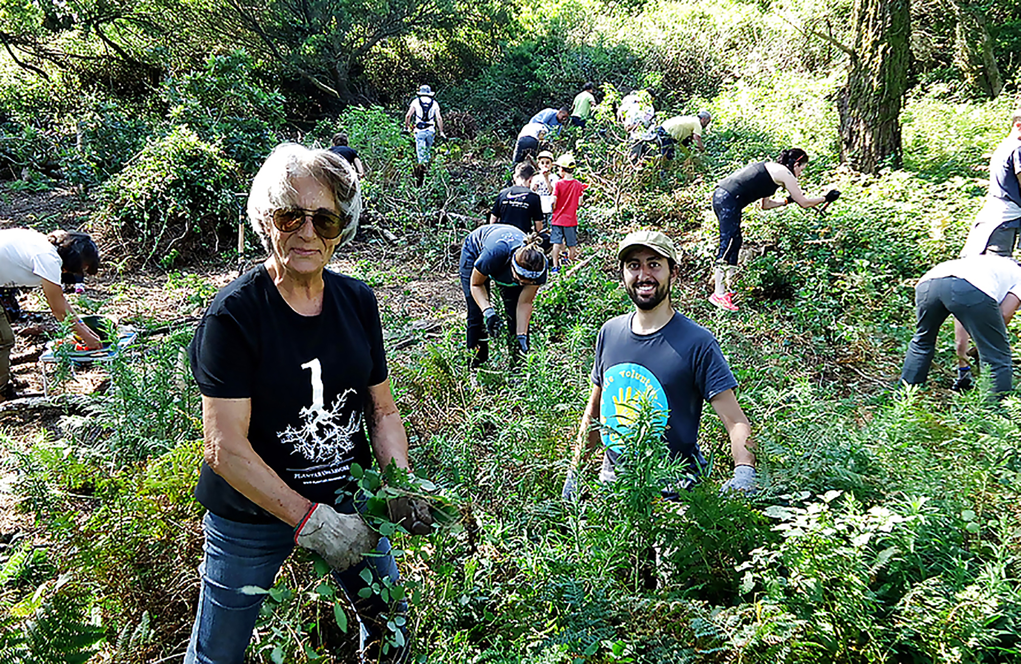 Portugal Lisbon Forest Conservation