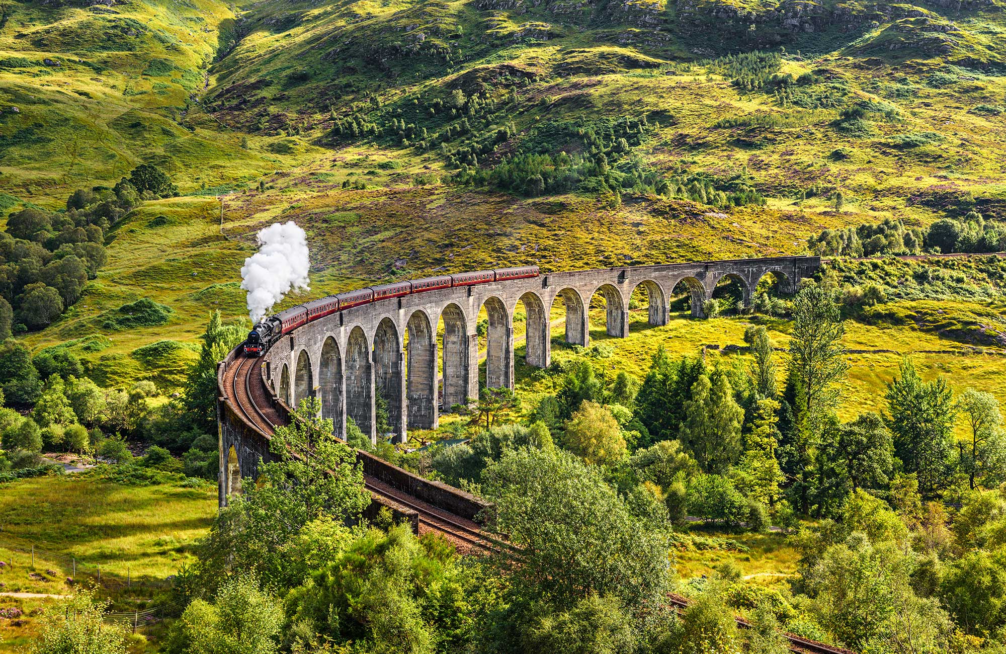 Interrail Train Crossing Bridge In Green Landscapes
