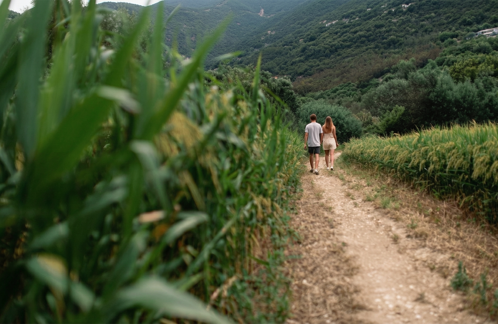 Brúðkaupsferð til Indónesíu - Par að labba gegnum akur í Indónesíu