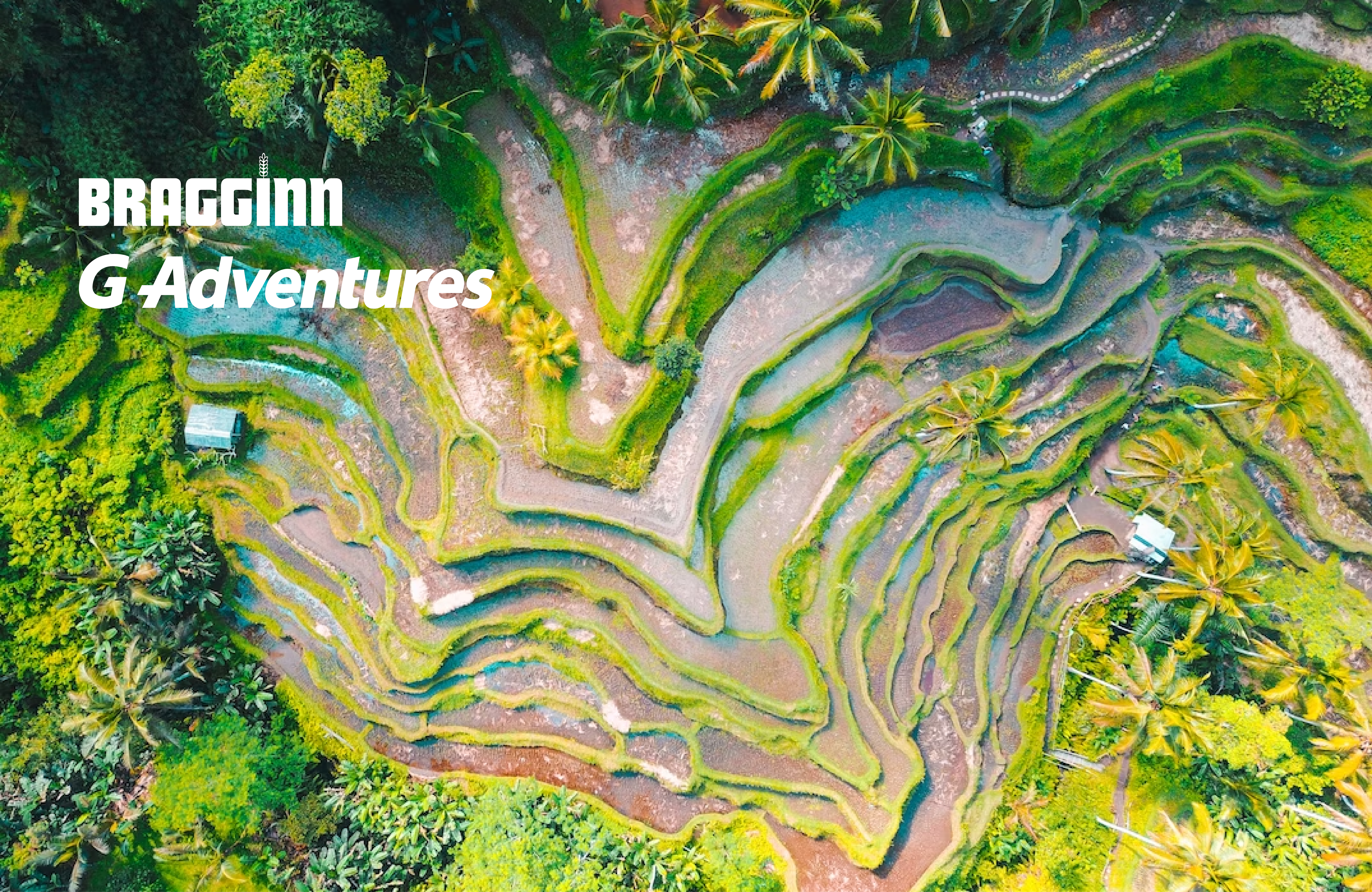 Ferðakviss Umbraco (2)