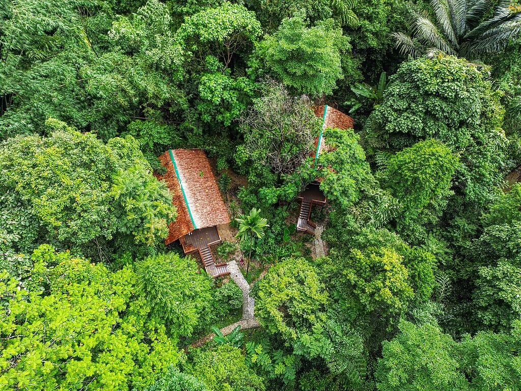 jungle_triple-treehouse-our-jungle-house_gallery_f
