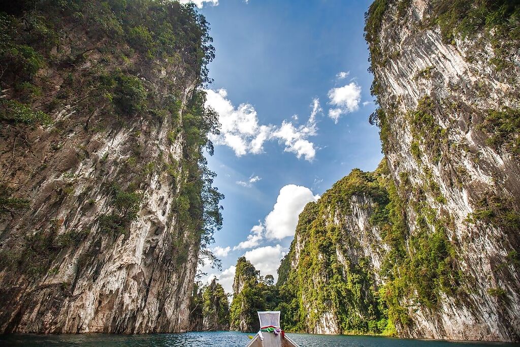 our-jungle-resort_gallery_full