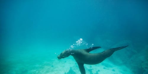 01d6b0600c05253748938ec3e2851668