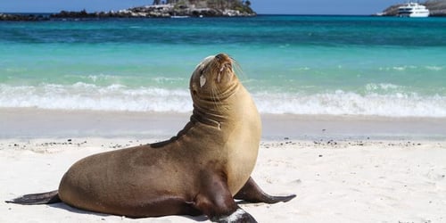 d892c1a32d6ad674f5b3c2df21d5ebca