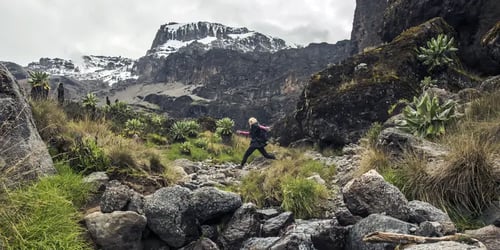 916a0f9150ea9a21533ef828f5f72d43