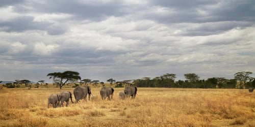 e7e492a73353ec2c9d08b68a3f31fd64