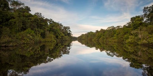 fa9574ab9862a171afeaaada42b5b747