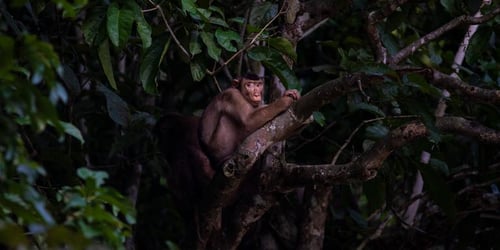 e4c7af85954579d3d64e95784ea7433c