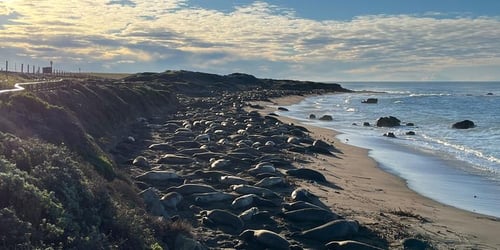 d1c89ad02687ca5971085f6eeb22c7d5