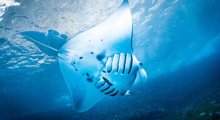 1_Lembongan-Webphoto_0021