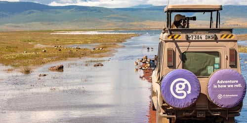 3452d51a77314d903bdad799f22b3004